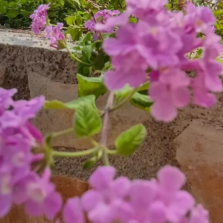 Azzurra Home-charming Property- For 6 Guests Villa Benissa